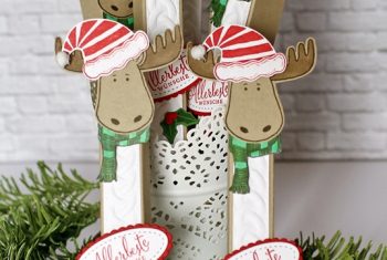 Goodies für Sammelbesteller - Stampin Up