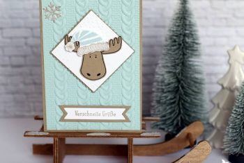 Stampin Up Jolly Friends, Zopfmuster Prägefolder