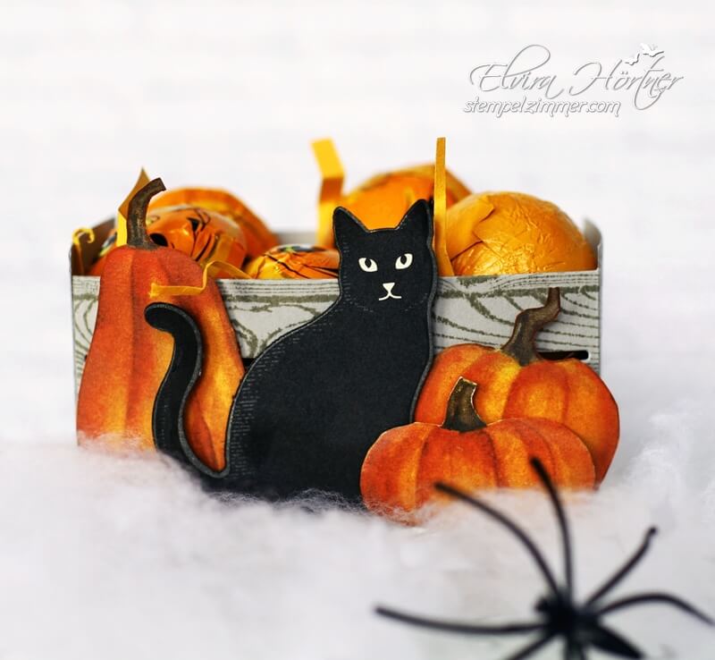 Halloween Holzkiste mit Kuerbis-Verpackung-Halloween-Wie verhext-Designerpapier-Katze-Stampin Up